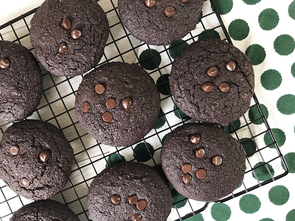 Sugar Free Chocolate Cookies