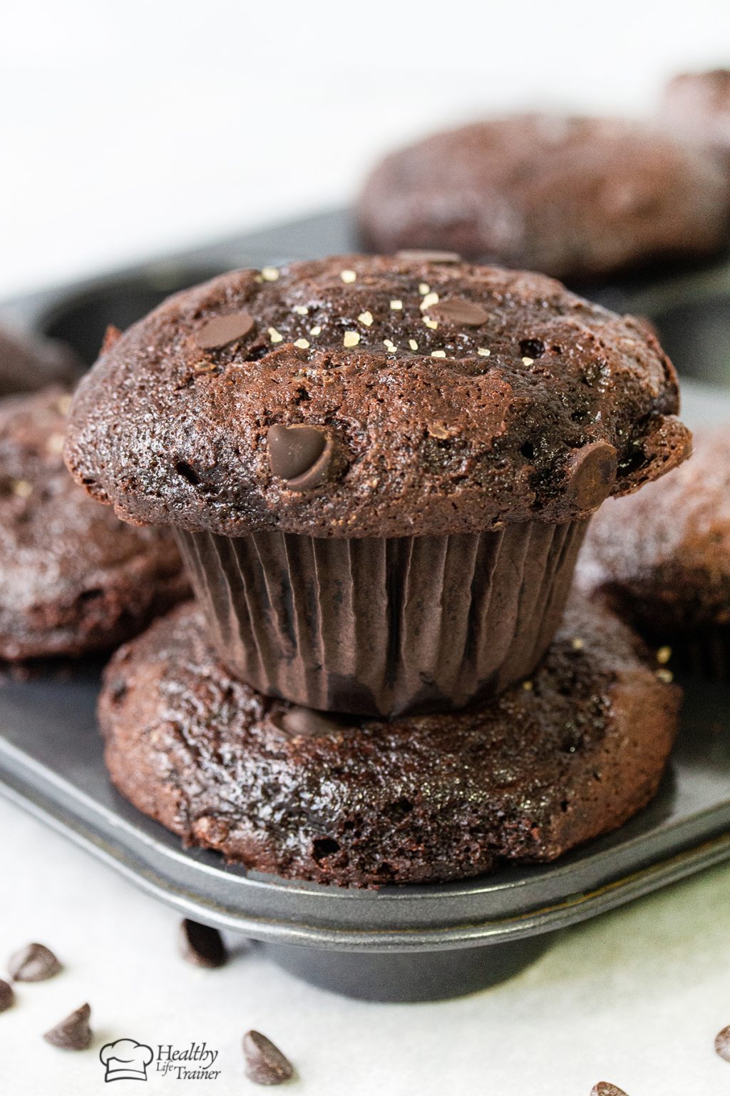 Fudgy Double Chocolate Muffins Healthy Life Trainer