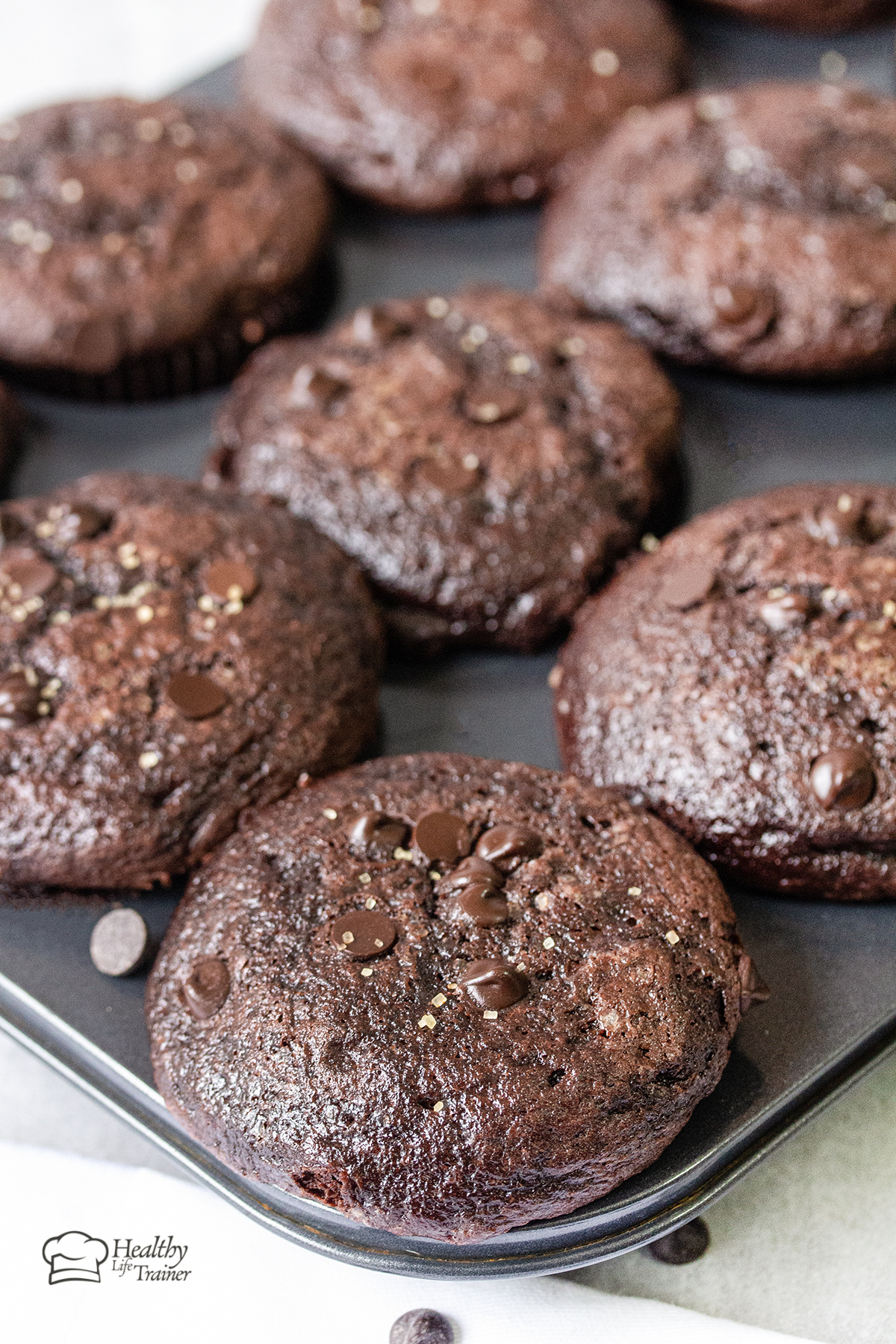 Fudgy Double Chocolate Muffins