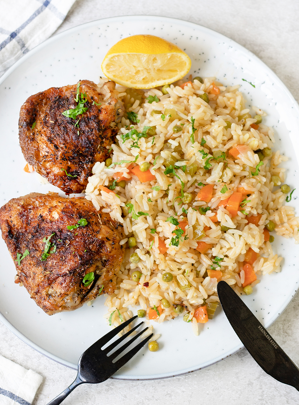 Baked Chicken And Rice in a big dinner plate