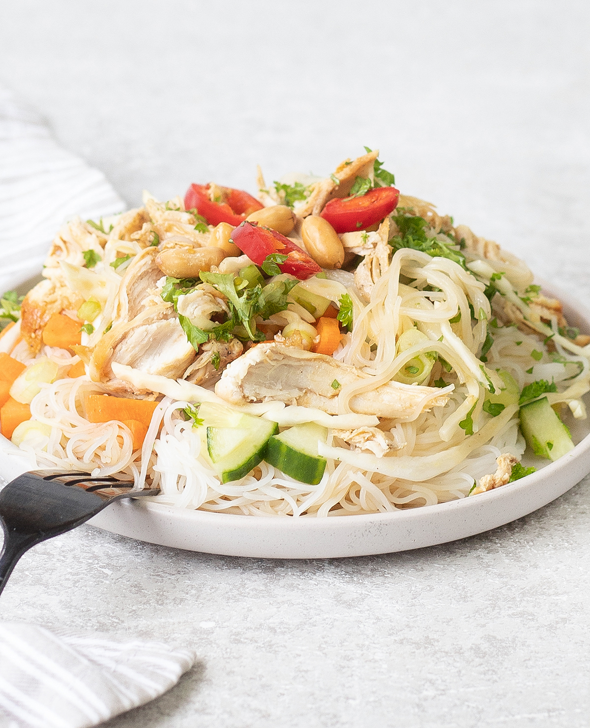 serving the Vietnamese Chicken Noodle Salad in a small plate.