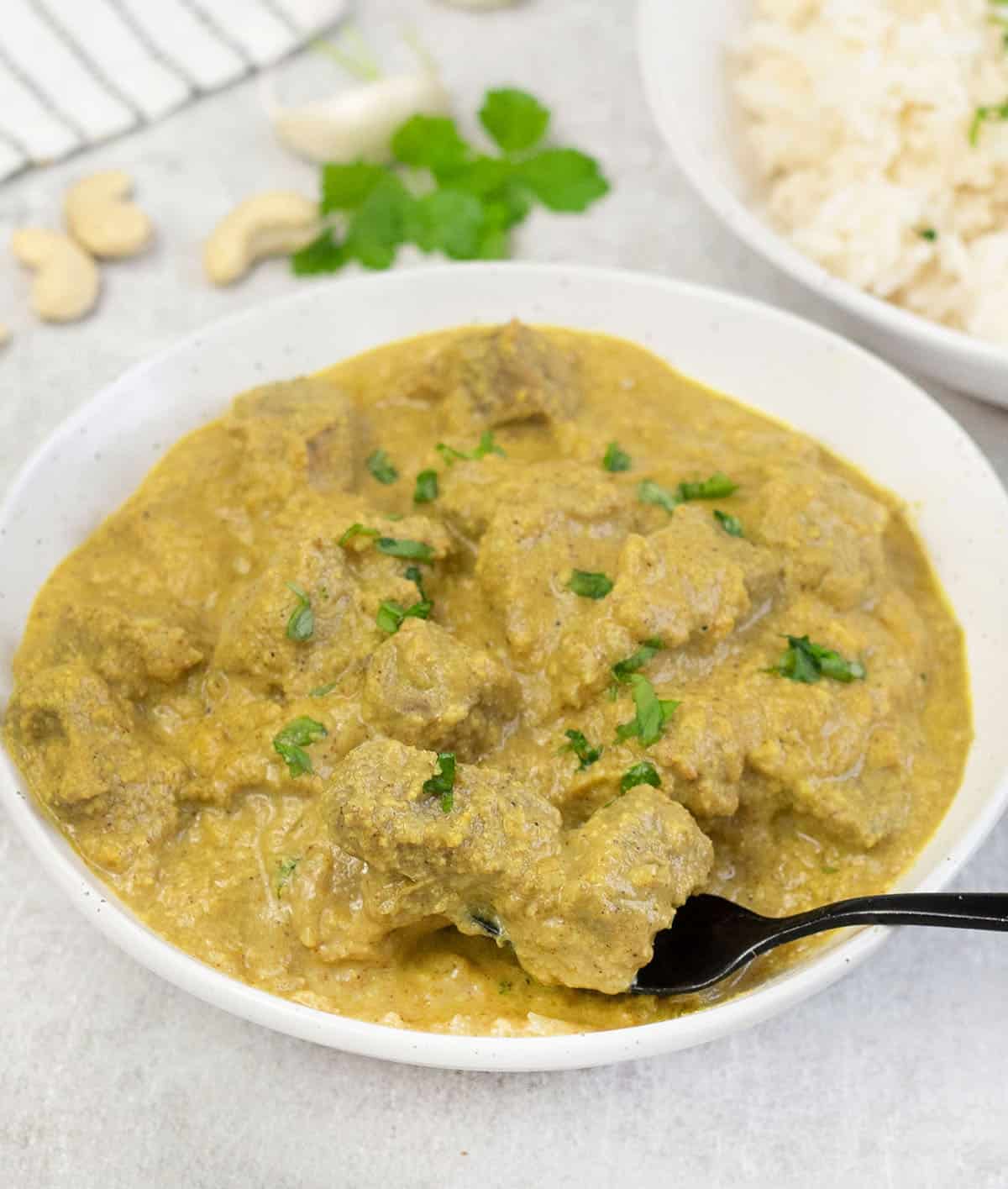 Lamb Korma in a big plate