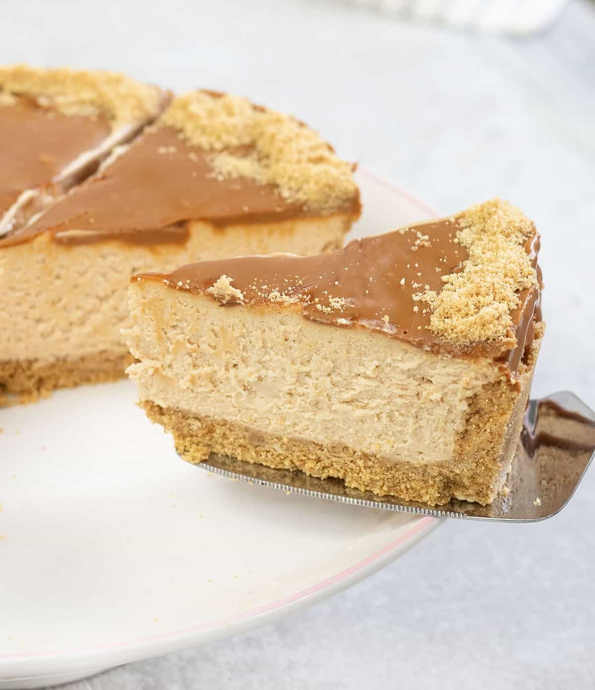 Biscoff Cheesecake