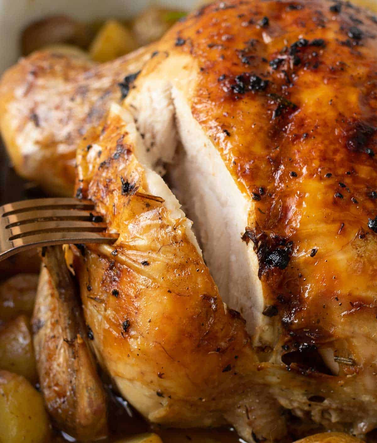 close shot to the roasted chicken