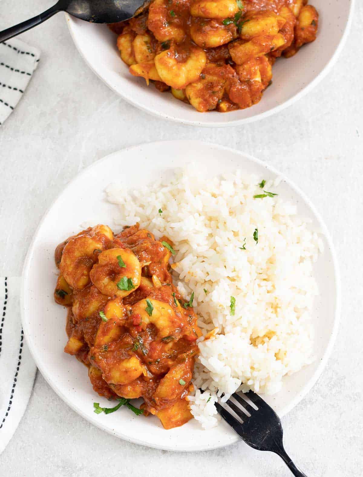 Prawn Bhuna and rice in a serving plate