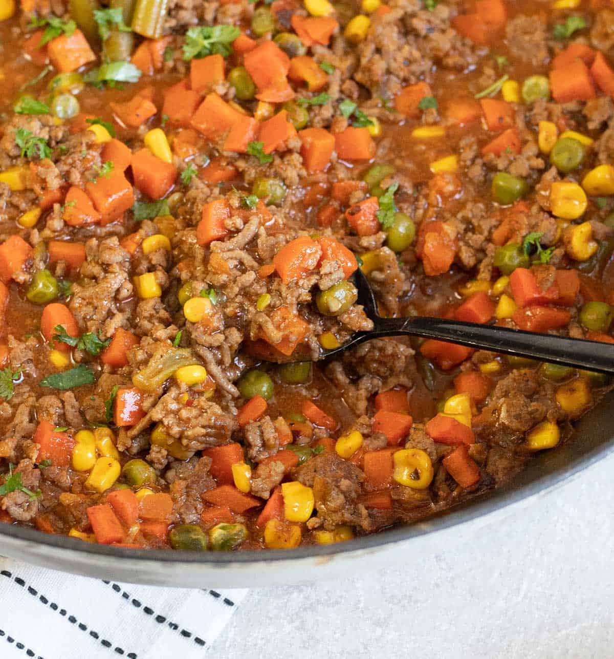 Savoury Mince with beef and veggies