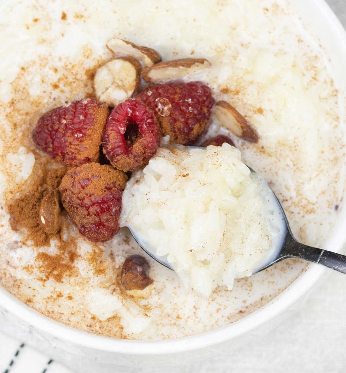 a spoonful of Chinese Congee