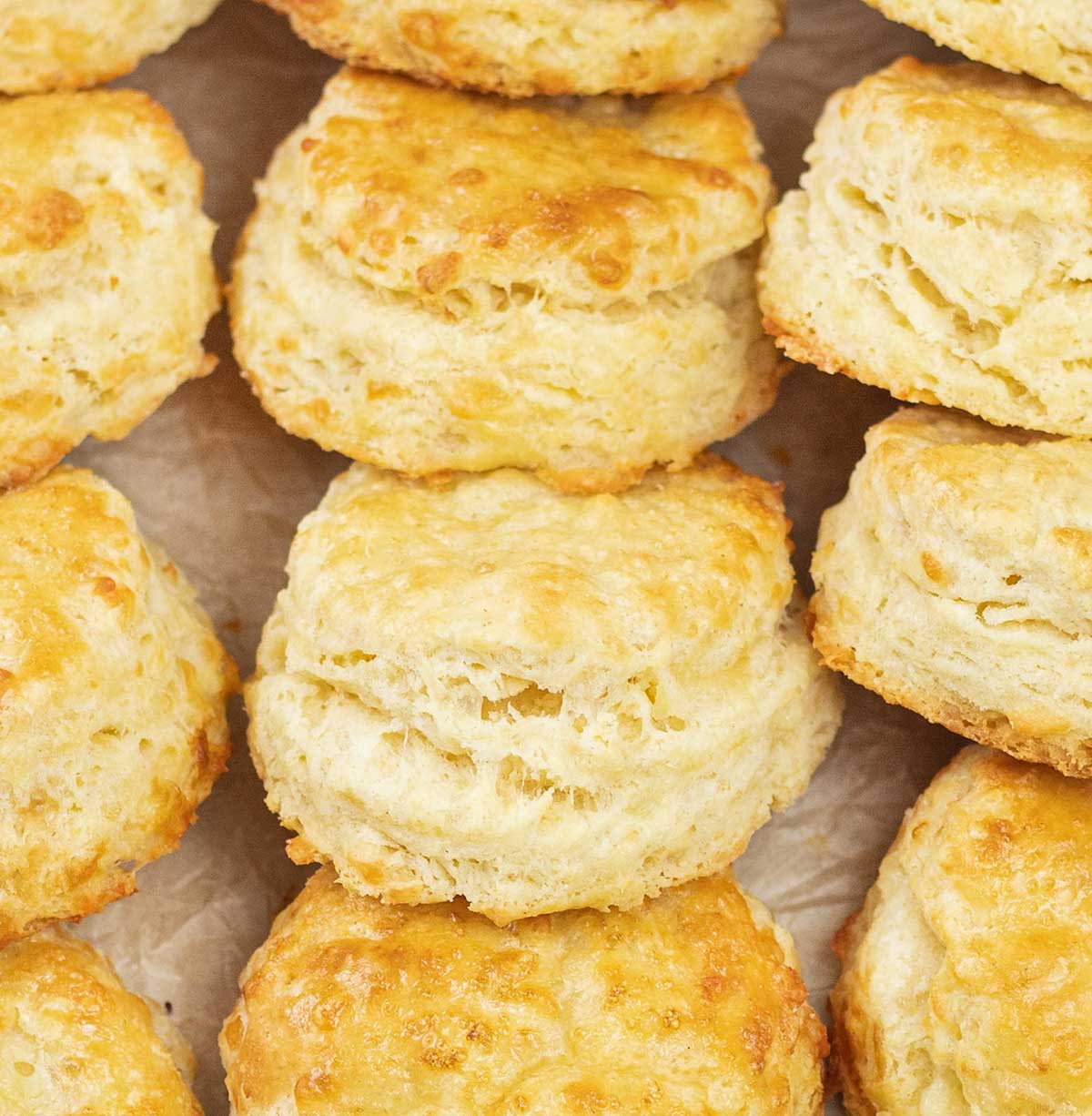 close shot to cheddar Cheese Biscuits