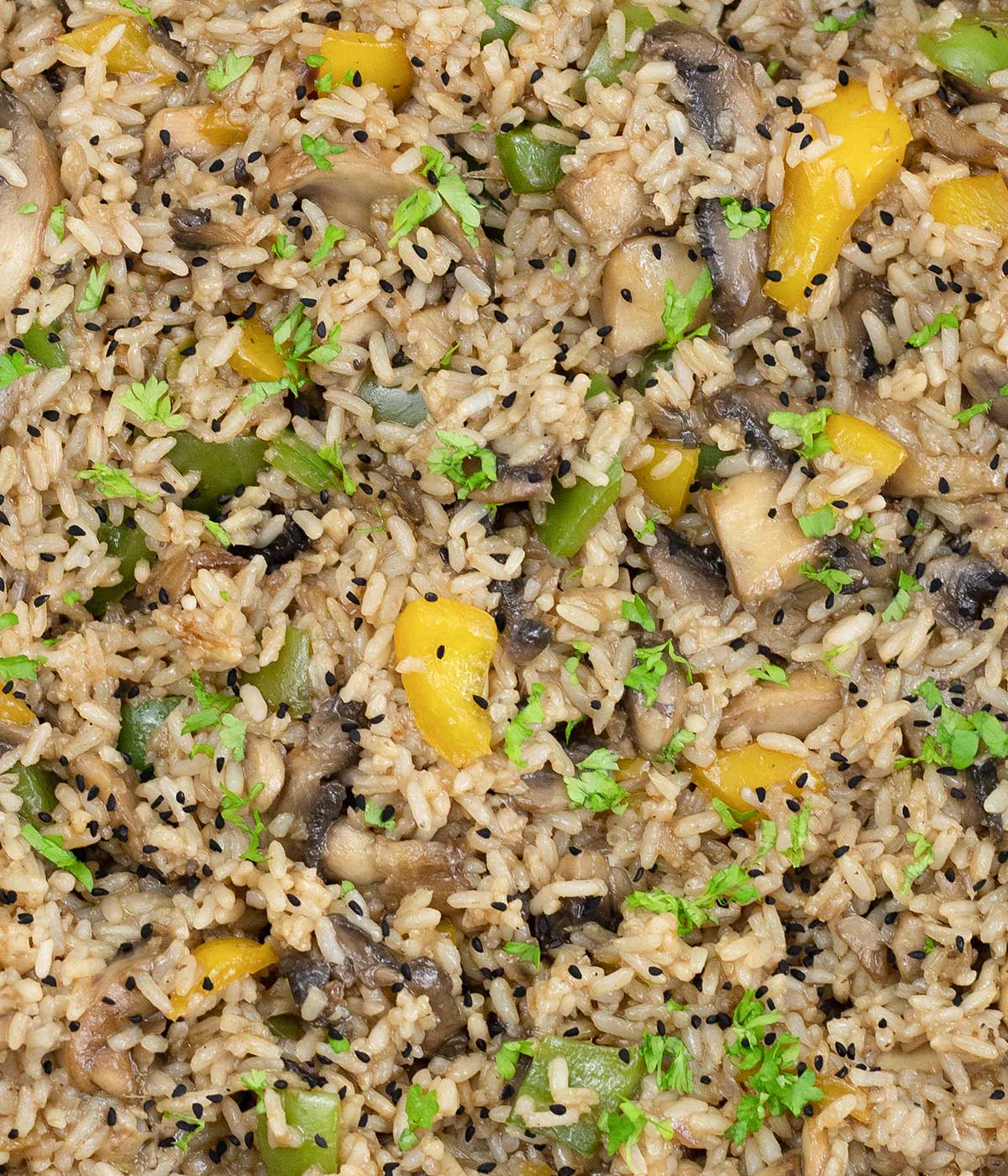 Close shot to mushroom fried rice.