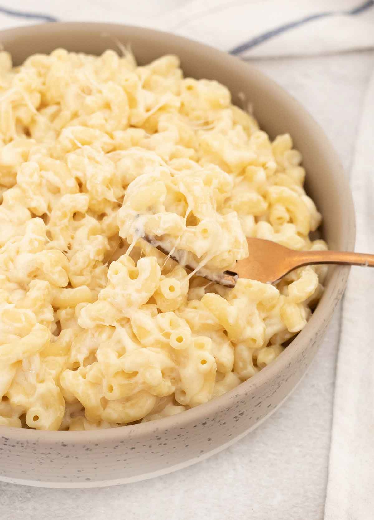 A spoonful of Greek yogurt mac and cheese.