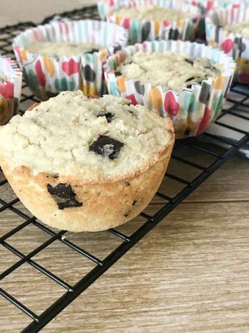 Sugar free chocolate chip muffins are on the table.