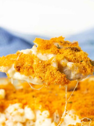 A spoonful of old fashioned baked macaroni and cheese with crunchy topping.