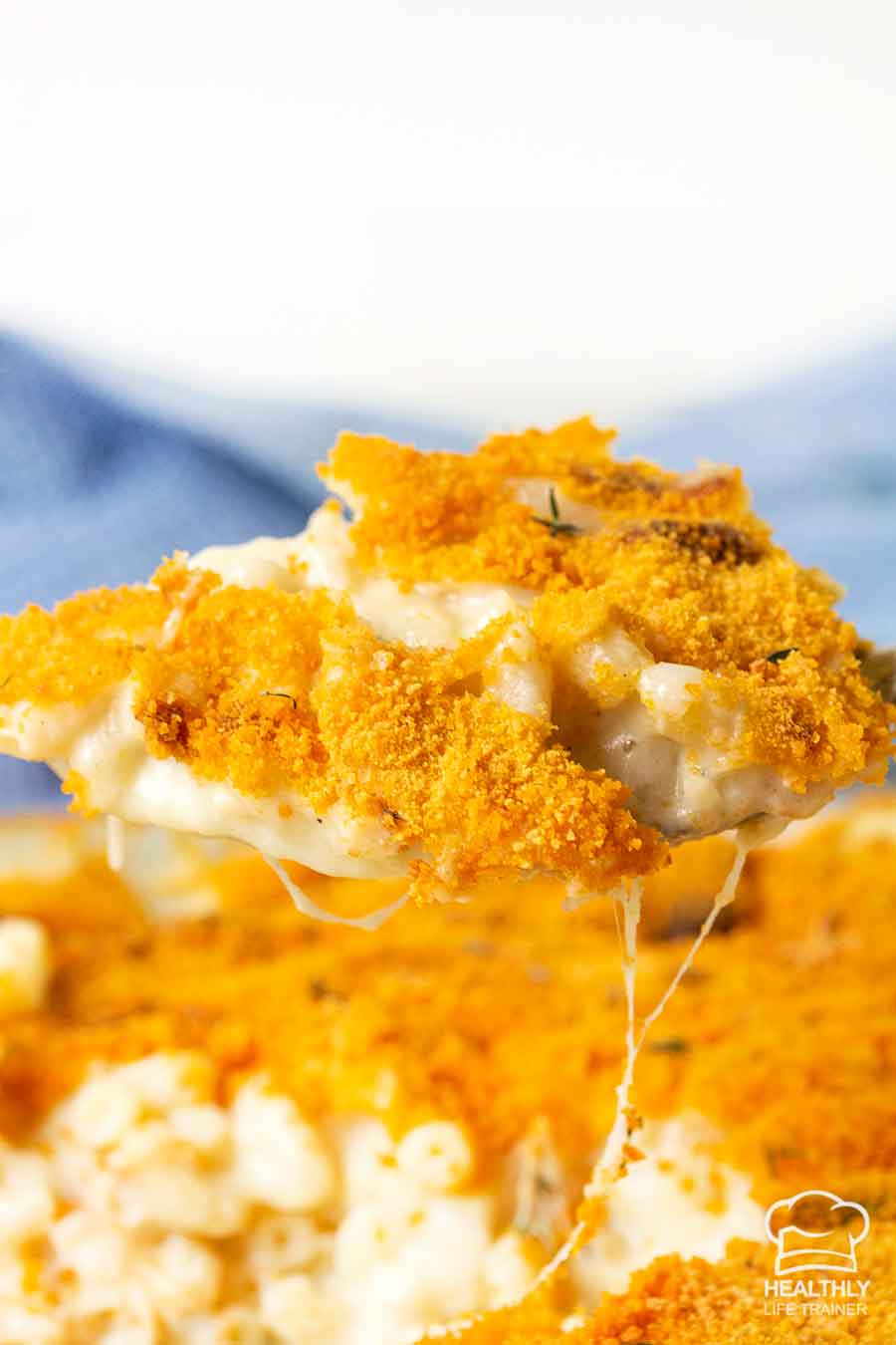 A spoonful of old fashioned baked macaroni and cheese with crunchy topping.