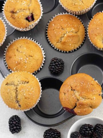 Blackberry Muffins on a muffin tin and some fresh blackberries around them.