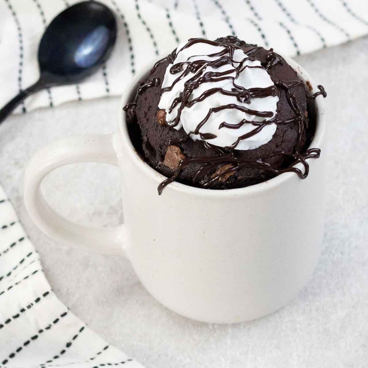 Hot Cocoa Mug Cake [www.healthylifetrainer.com]